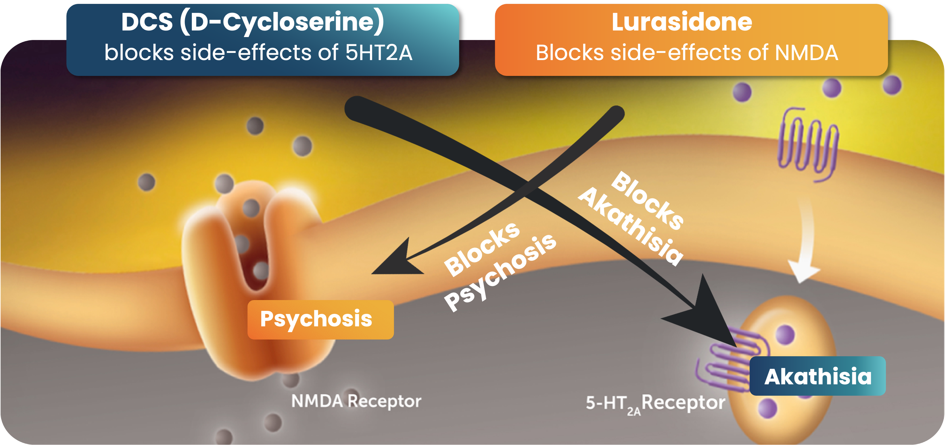 The N-methyl-D-aspartate (NMDA) receptor